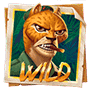 Wild-символ Wild-символ
